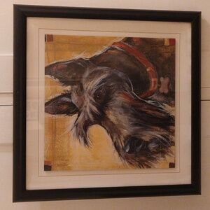 Schnauzer framed drawing